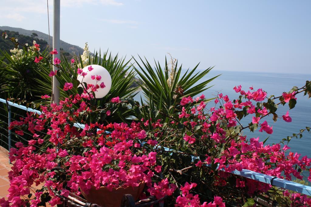 קסטל די טוסה Camere & Case Vacanze Lo Scoglio מראה חיצוני תמונה