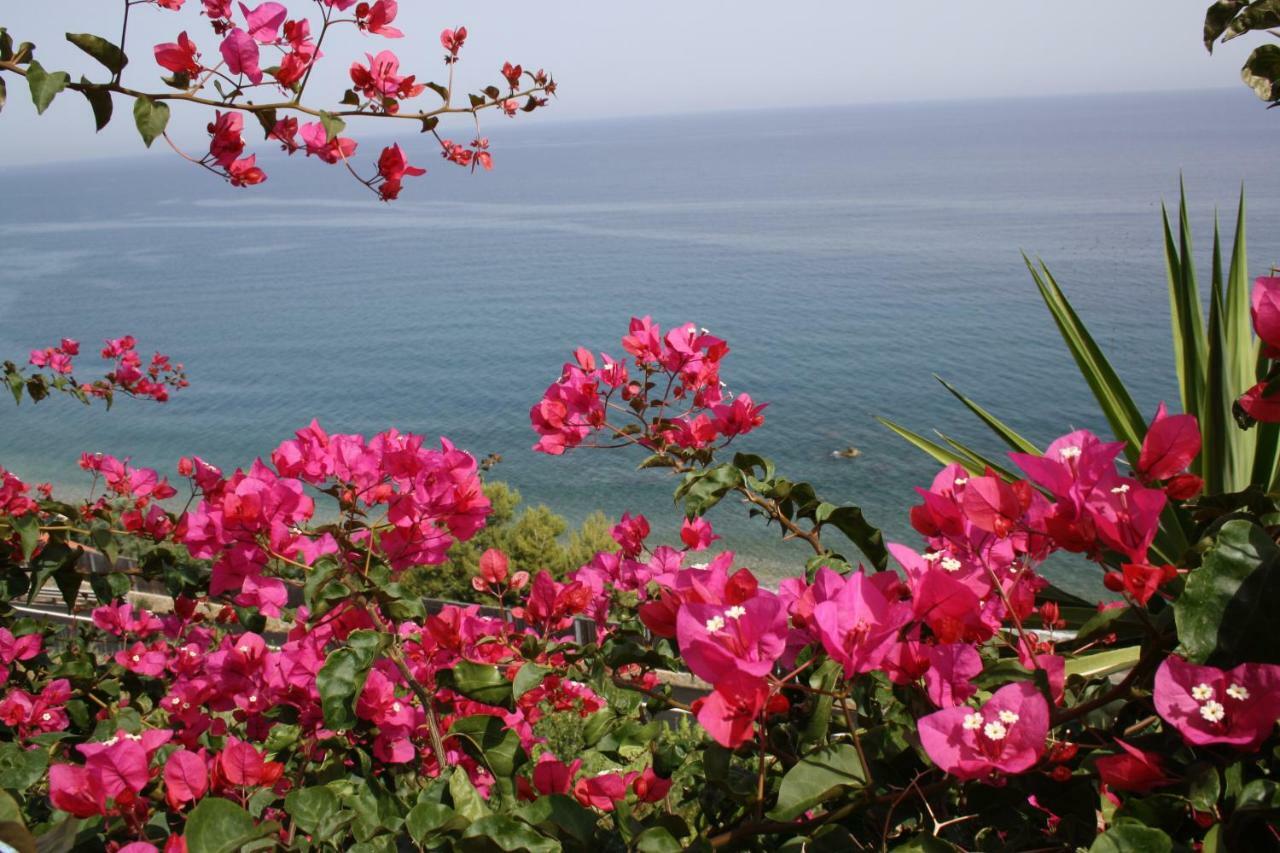 קסטל די טוסה Camere & Case Vacanze Lo Scoglio מראה חיצוני תמונה